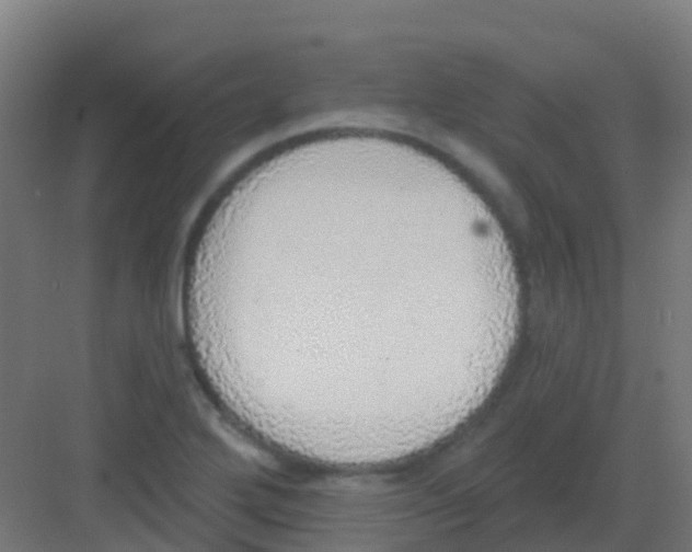 X0000081321272200702082127