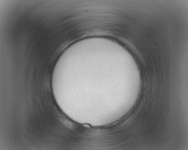 X0000081321273200702082127