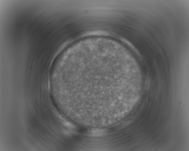 X0000081321274200702082127