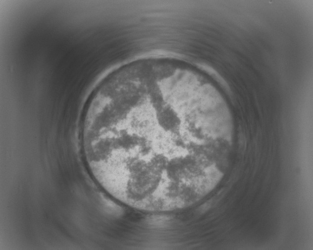 X0000081321278200702082127