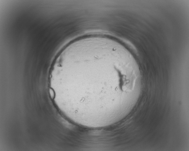 X0000081321279200702082127