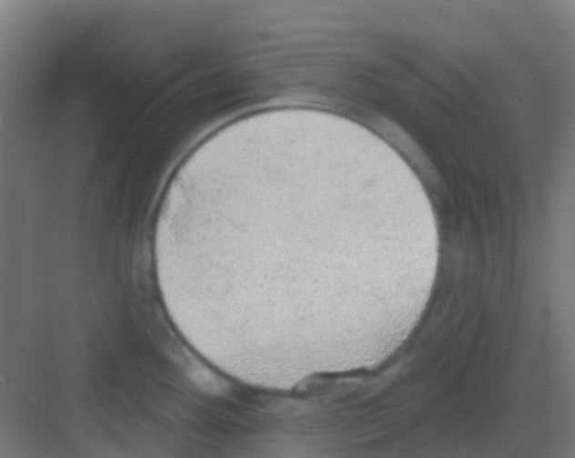 X0000081321292200702082126