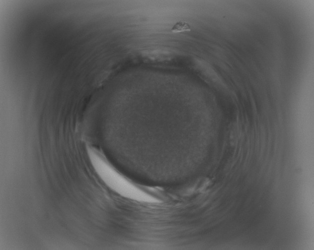 X0000081321298200702082125