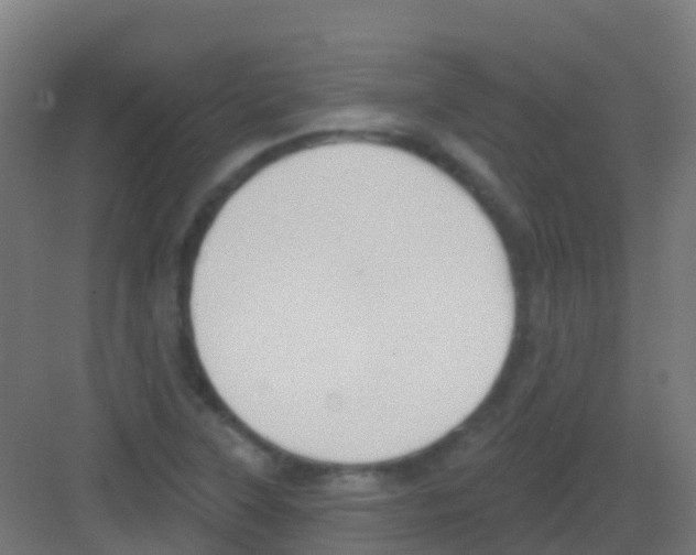 X0000081321315200702082126