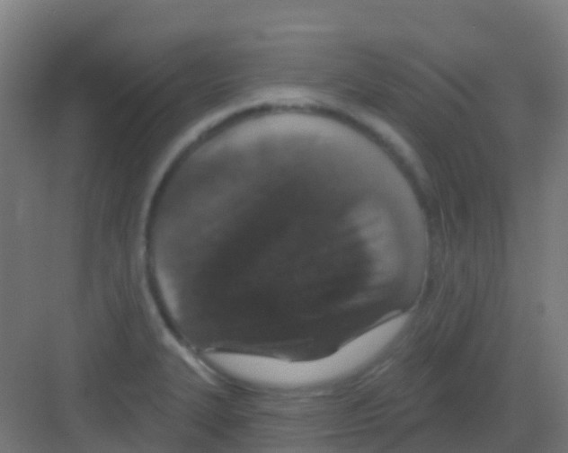X0000081321327200702082126