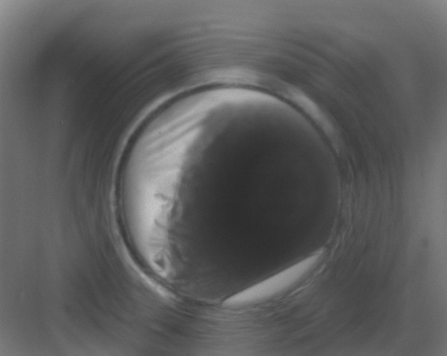 X0000081321331200702082126
