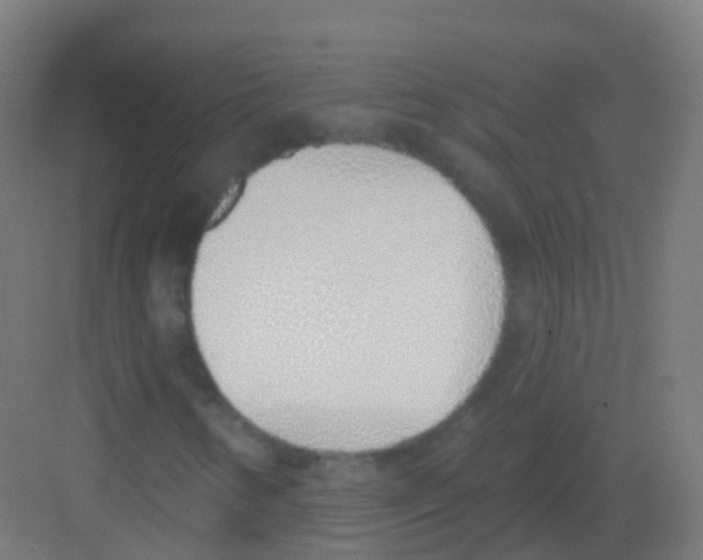 X0000081321346200702082125
