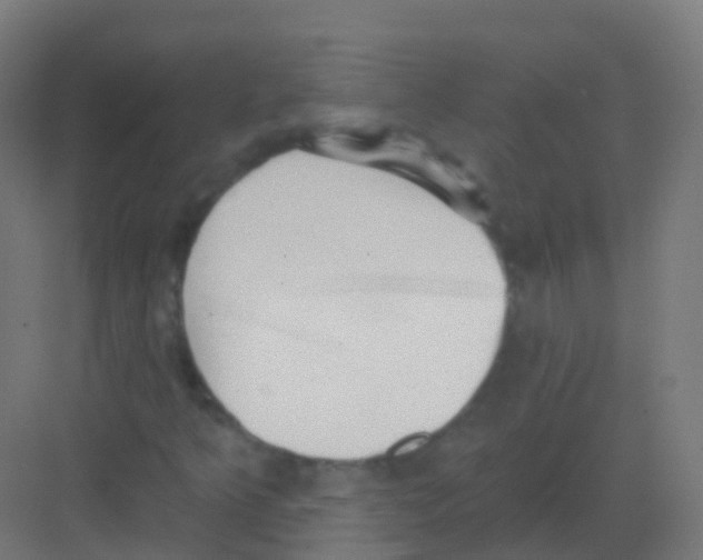 X0000081321349200702082125