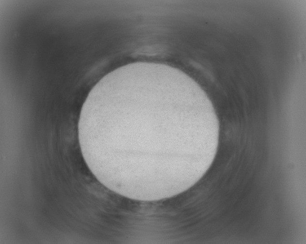 X0000081321350200702082125