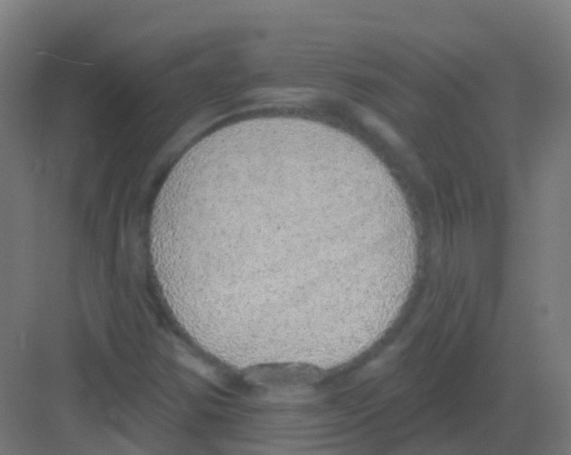 X0000081321354200702082125