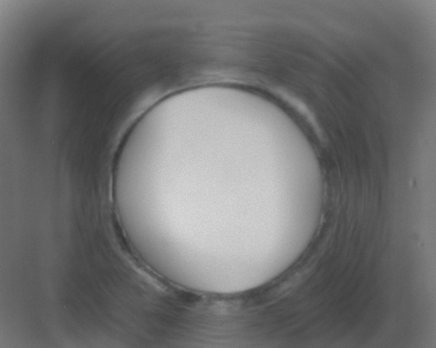 X0000081321365200702082125