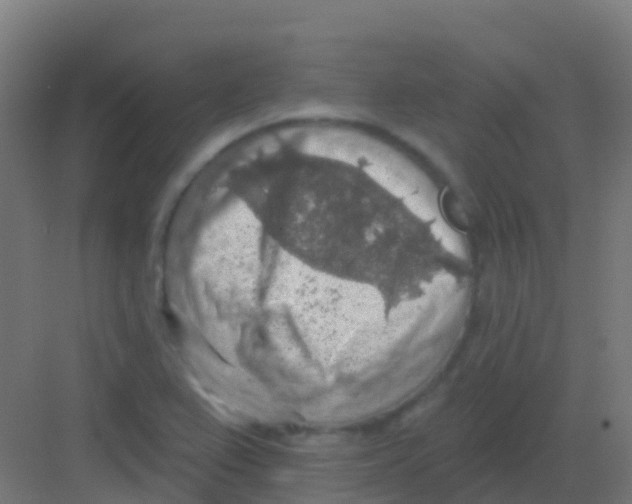 X0000081321367200702082125