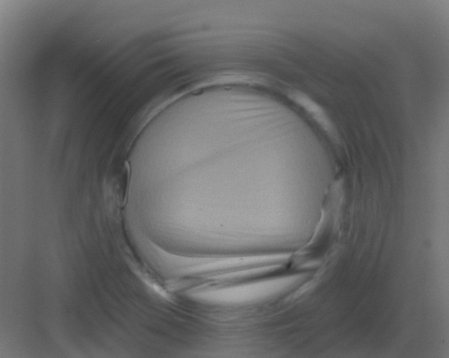 X0000081321369200702082125