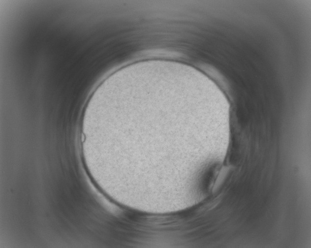 X0000081321391200702082125