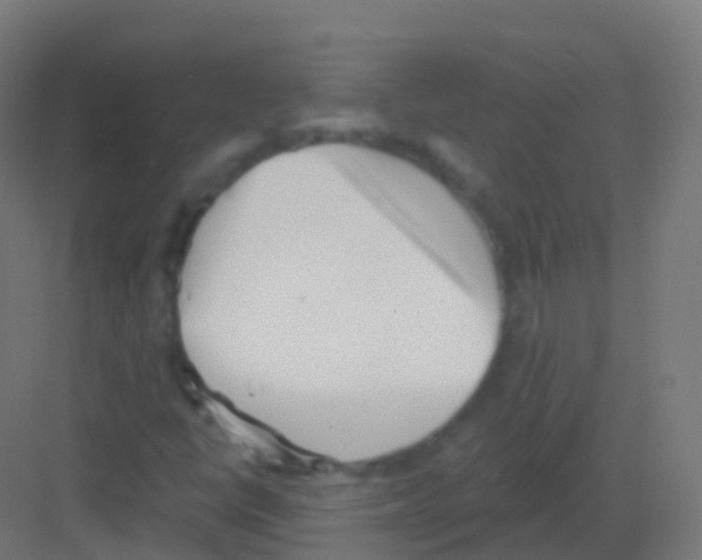 X0000081321398200702082124