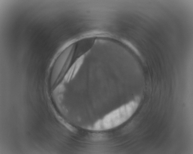 X0000081321413200702082124
