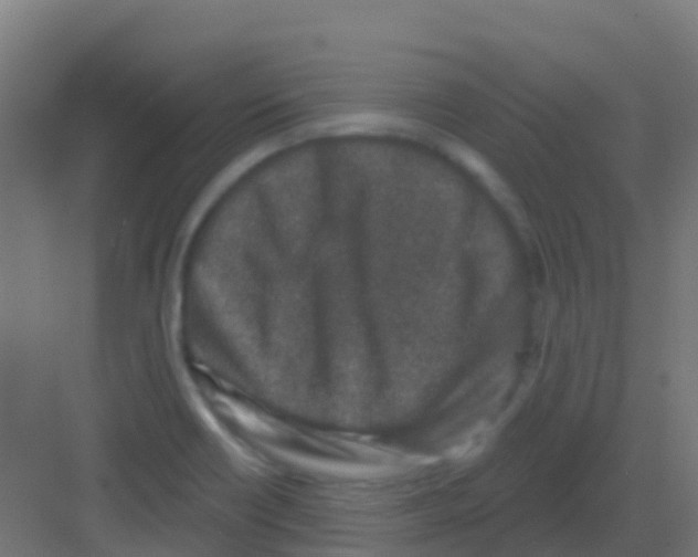 X0000081321418200702082124