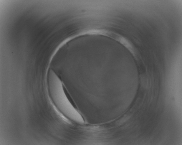 X0000081321428200702082124
