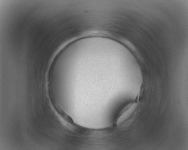 X0000081321430200702082124