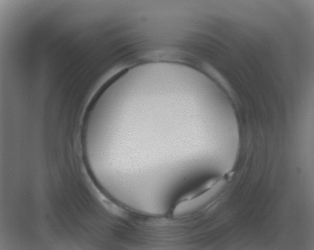 X0000081321434200702082125