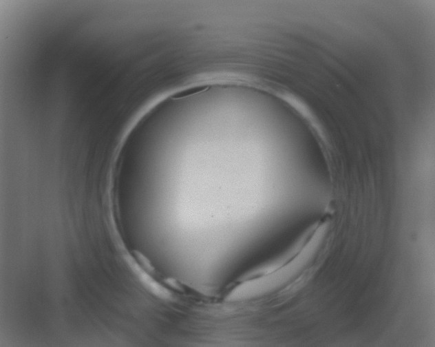 X0000081321438200702082125