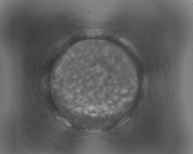 X0000081321445200702082124