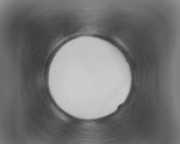 X0000081321452200702082124