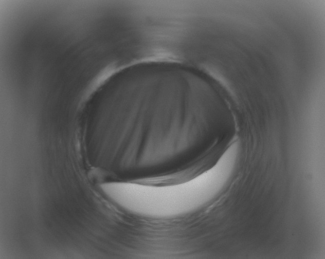 X0000081321455200702082124