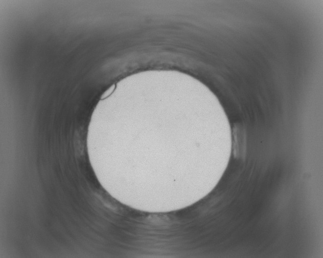 X0000081321491200702082122