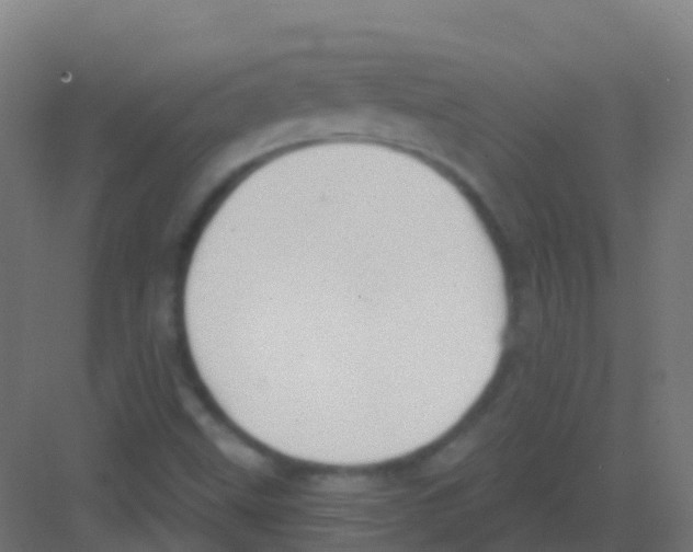X0000081321499200702082122