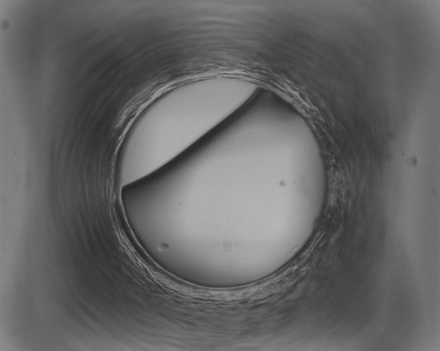 X0000081330002200701111015