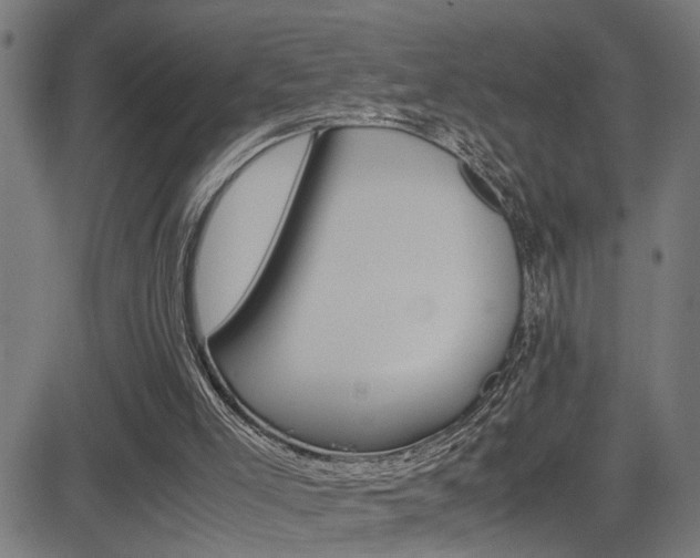 X0000081330005200701111015