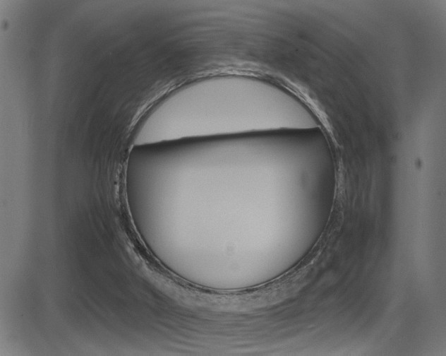 X0000081330010200701111015