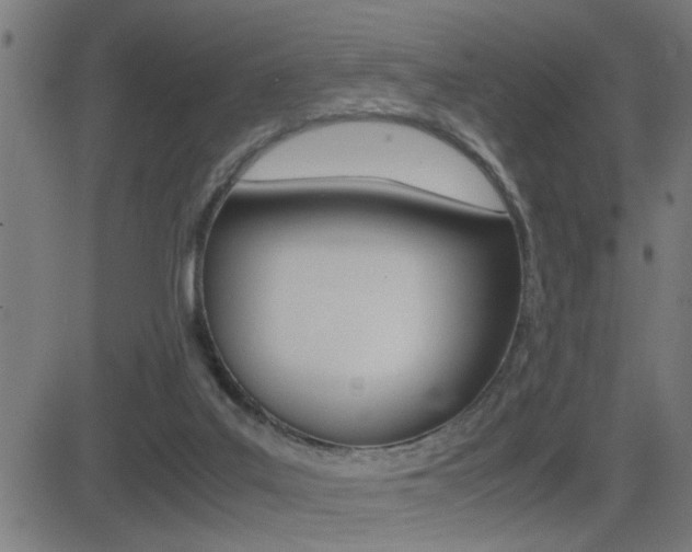 X0000081330019200701111014