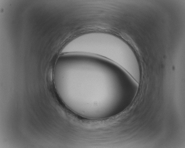 X0000081330021200701111014