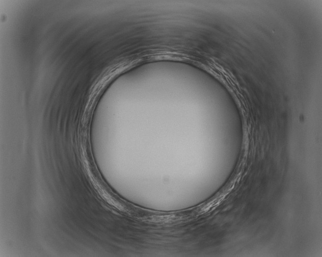 X0000081330049200701111013