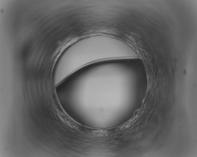 X0000081330050200701111013