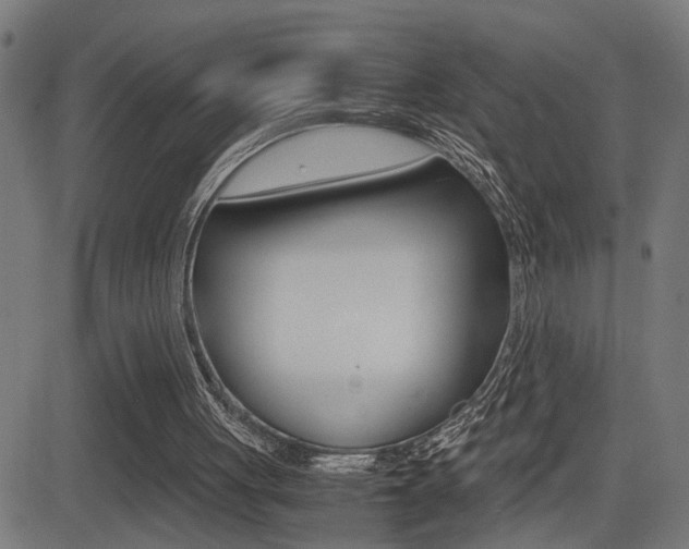 X0000081330051200701111013