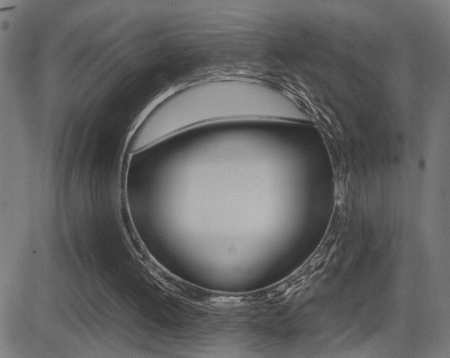 X0000081330052200701111013