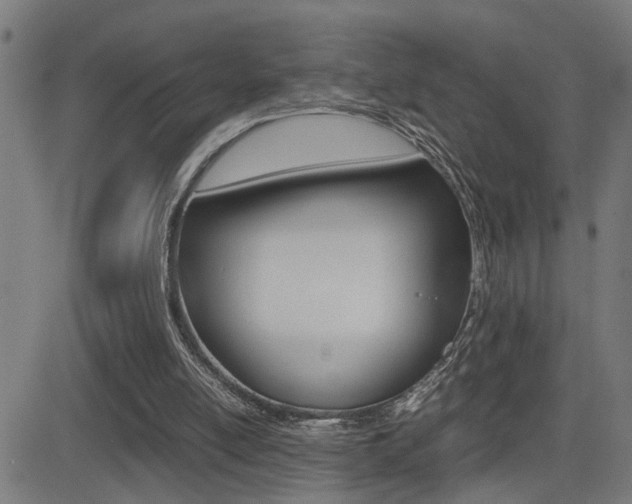 X0000081330054200701111013