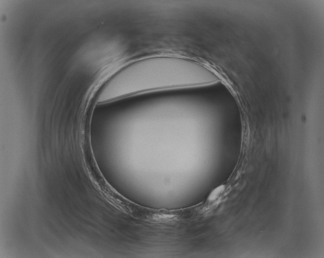 X0000081330055200701111013