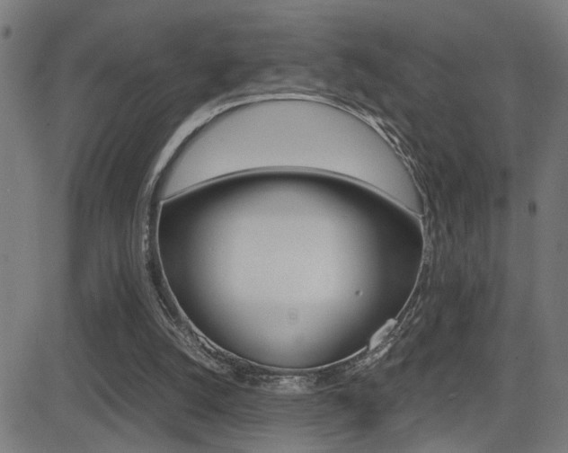 X0000081330056200701111013