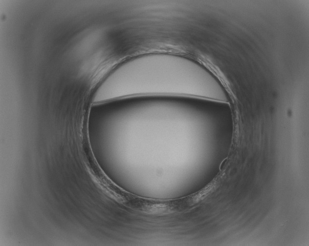 X0000081330058200701111013