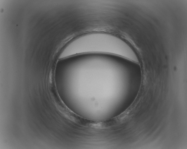 X0000081330068200701111013