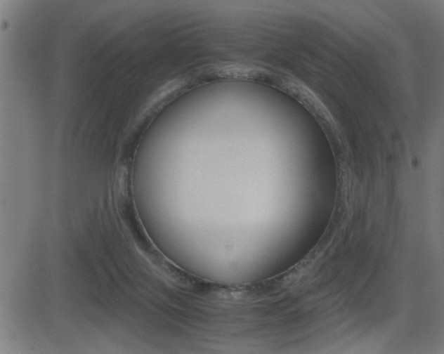 X0000081330071200701111014