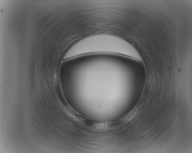 X0000081330084200701111014