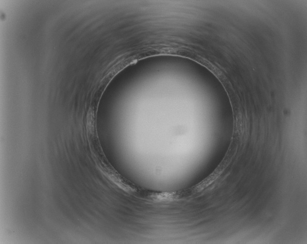 X0000081330092200701111014