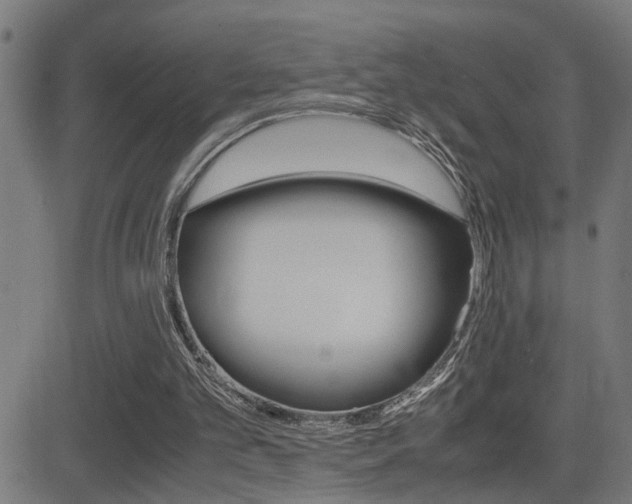 X0000081330101200701111013
