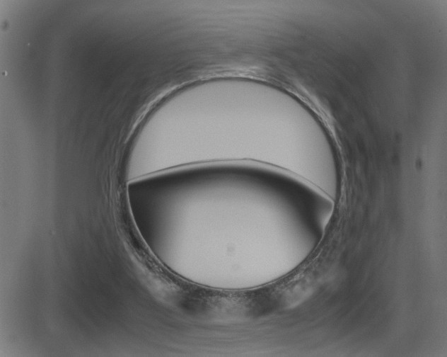 X0000081330107200701111013