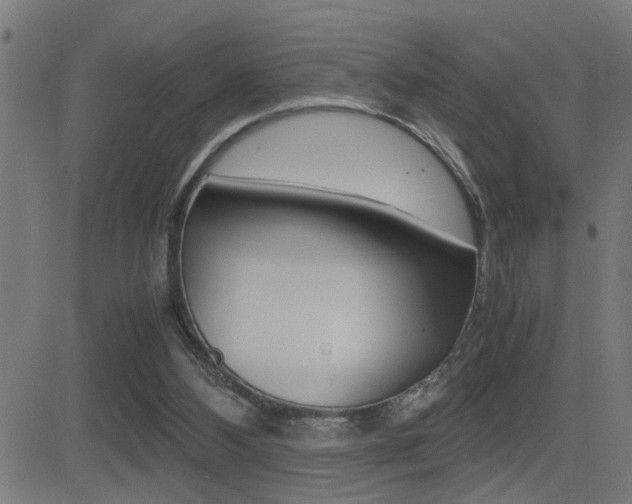 X0000081330108200701111013